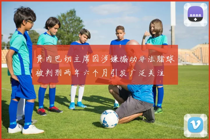 费内巴切主席因涉嫌煽动非法赌球被判刑两年六个月引发广泛关注