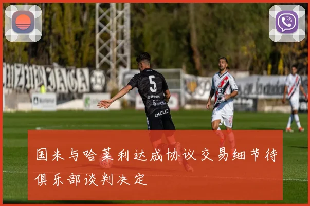 国米与哈莱利达成协议交易细节待俱乐部谈判决定